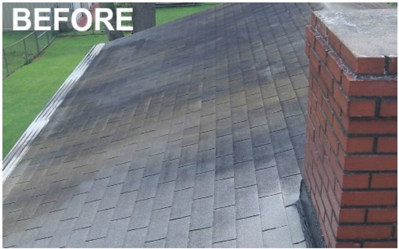 Roof before soft wash cleaning Boynton Beach FL